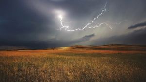 Зливи не завдадуть значної шкоди врожаю-2021 на державному рівні, — Укргідрометцентр
