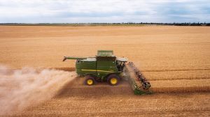 Аграрії Полтавщини зібрали понад 1,5 млн тонн урожаю ранніх зернових культур