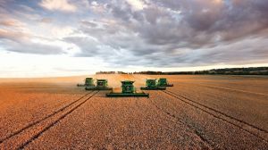 Аграрії Франції та Великобританії пришвидшили темп жнив через посуху: названо врожайність
