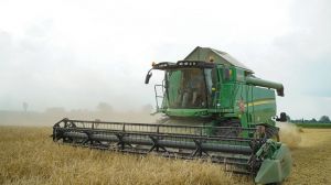 Аграрії Одещини зібрали понад 2 млн тонн зерна: названо врожайність культур