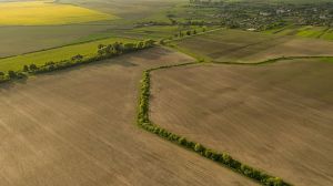 В Україні зареєстровано понад 5,2 тис. земельних угод, — Мінагрополітики