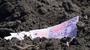 Вартість зернових в Україні зростає, — Zernotorg.ua