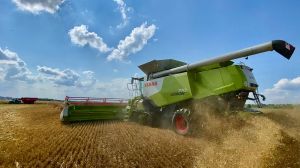 Контінентал Фармерз Груп завершила збирання ранніх зернових за врожайності понад 6 т/га
