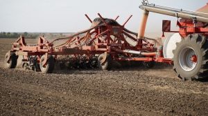 Посівна кампанія озимих зернових культур в Україні у розпалі, — детальний звіт