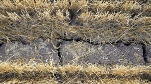 На Луганщині запровадять проєкт по боротьбі з деградацією ґрунтів