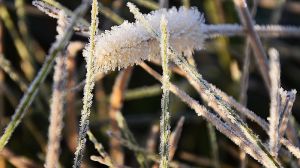 Синоптики попередили українців про значні заморозки, — прогноз погоди