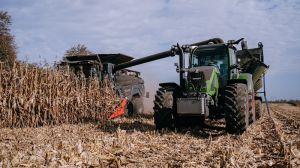 Урожайність зернових на Вінниччині маже на 19% вища, ніж минулого року