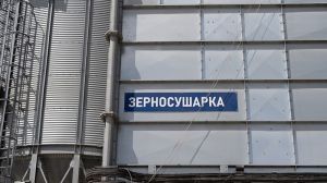 У зерносушарці на Чернігівщині згоріло близько 7 тонн соняшника