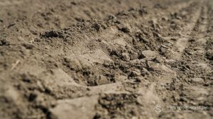У Мінагро озвучили суму збитків від ґрунтової деградації в Україні