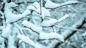 В Україні очікуються морози до -10°С та снігопади