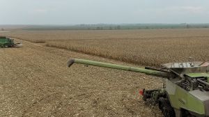 Урожайність зернових культур на Вінниччині у 2021 р. на третину вища, ніж торік