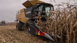 Урожай сільгоспкультур на Дніпропетровщині найвищий за останні 10 років