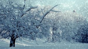 Українців попереджають про сильні снігопади та ожеледицю