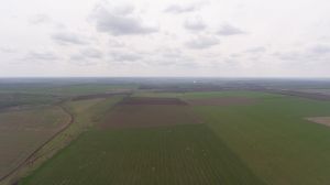 Названо ТОП-10 найдорожчих земельних ділянок в Україні, проданих за минулий тиждень