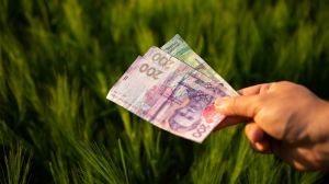 Експерти назвали середню зарплату працівника у сільському господарстві в Україні