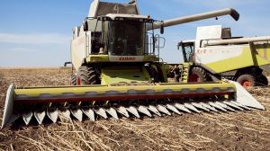 Лідер за врожайністю сільгоспкультур в Україні завершує польові роботи — результати сезону