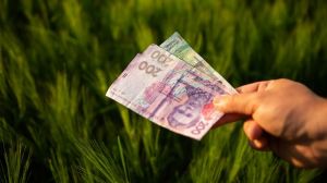 Ціни на пшеницю та кукурудзу в Україні зросли — звіт за 30 грудня 2021 р.