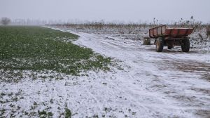 Синоптики попередили українців про сильні морози до -16°С та сніг