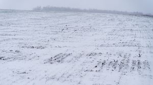 В Україні очікується похолодання: морози до -16°С та незначний сніг