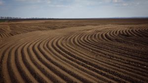 Деградація ґрунтів в Україні набуває критичних значень