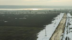 Втрати озимих на Одещині можуть бути критичними через несприятливі погодні умови