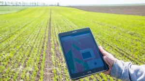 Названо ТОП-3 технології точного землеробства для підвищення рентабельності господарства