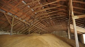 Озвучено заходи щодо запобігання розвитку самозігрівання і злежування зерна у сховищах