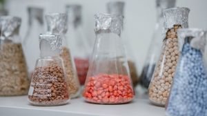 В Інституті здоров’я рослин розповіли, як перевірити потенціал придбаного насіння