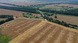 Тисячі українських аграріїв не можуть викупити землю сільгосппризначення