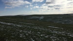 Експерти розповіли, яким буде зволоження метрового шару ґрунту на початку весни