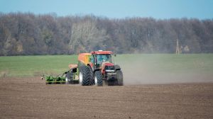 В Україні очікують щонайменше на 30% нижчий валовий збір зерна, ніж торік