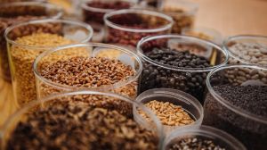 Оприлюднено список підприємств, де можна купити насіння на Херсонщині