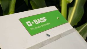 BASF консультуватиме аграріїв в режимі онлайн 24/7
