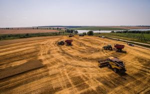 Агрономічну освіту без ЗНО пропонують здобути у Харківському ДБТУ