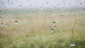 Короткочасні дощі та грози повсюдно, крім Півдня — прогноз на 21-22 травня