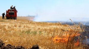 Пожежники гасять вогонь на пшениці