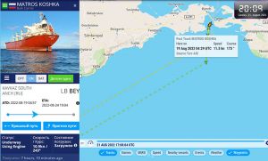Крадене з України зерно вивозять судна однієї з російських держкомпаній