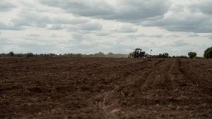 Сівба озимого ріпаку під урожай-2023 подекуди припинялась через сухість ґрунту, — агрометеорологи