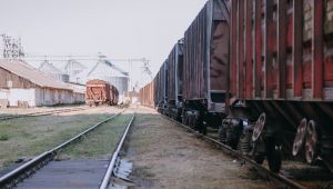 Зернові вантажі займають найбільшу частку експортних перевезень Укрзалізниці — 38%
