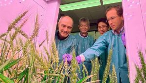 Дослідники