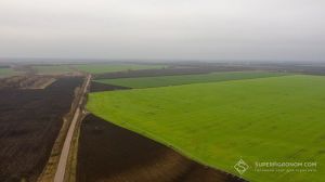 Ціна землі за гектар в Україні досягла 39 тис.грн за 2 роки