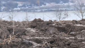 Комунальне підприємство «Франківськ АГРО» завершило осінній обробіток ґрунту 