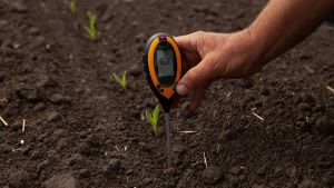Середньозважений показник кислотності ґрунту по Україні становить pH 6,2