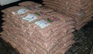 800 кг контрабандного насіння квасолі з Італії намагалися ввезти в Україну, митники запобігли