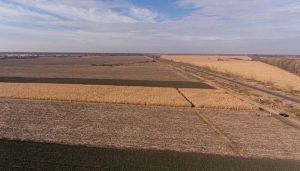 Розораність території України, а саме степу, називають однією з причин нинішніх аномальних температур