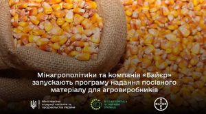 Насіння кукурудзи