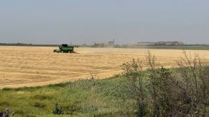 Фронт наступає, площі посівів скорочуються, але аграрії Донеччини не припиняють вирощувати урожай навіть під «шахедами»