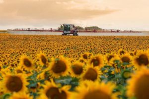 Внесення ЗЗР