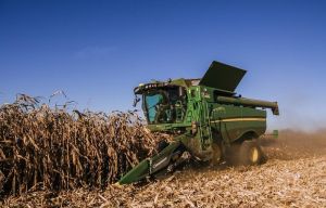 Збирання кукурудзи