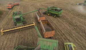 Від сьогодні критично важливі підприємства з прифронтових територій зможуть бронювати 100% працівників через Дію